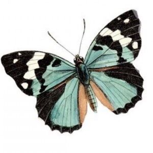 Meet your Posher, Eden